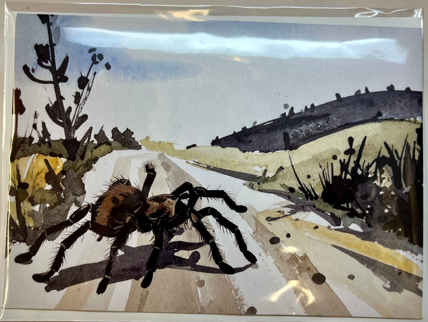 Greeting Card – Tarantula Crossing the Road