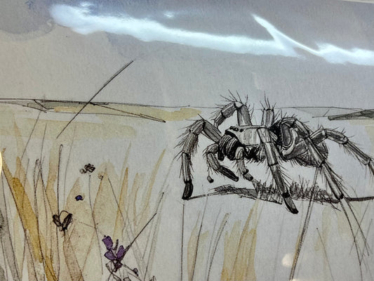 Greeting Card – Tarantula Crossing the Prarie